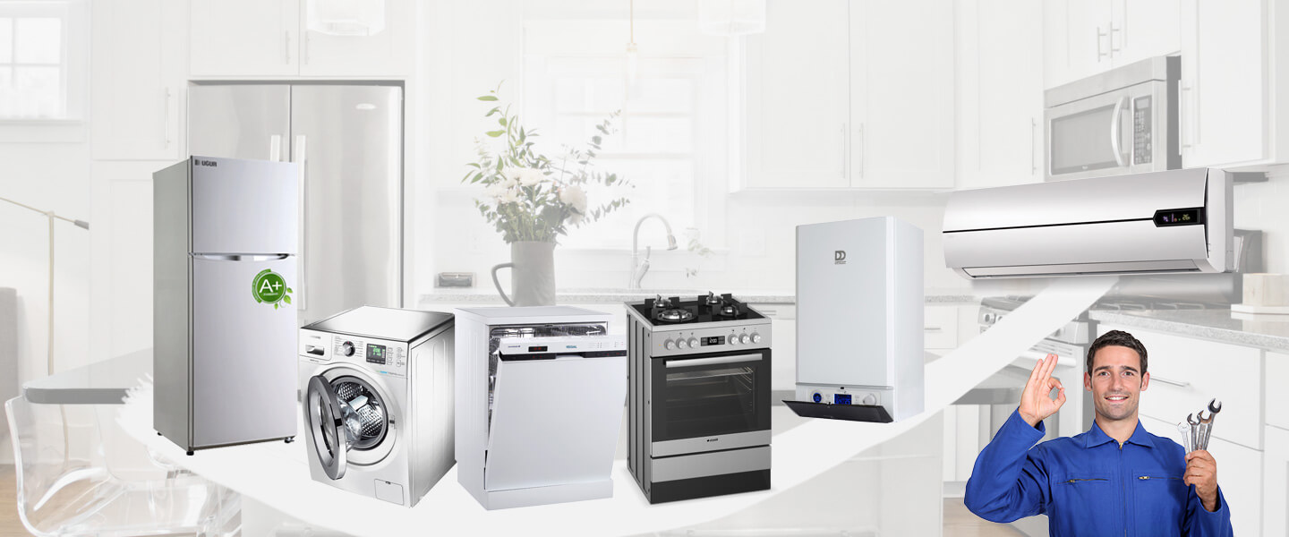 Baskil Gorenje Servisi